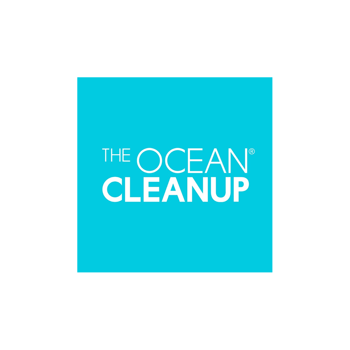 Donate to The Ocean Clean up